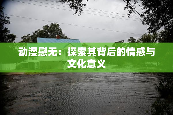 动漫慰无：探索其背后的情感与文化意义