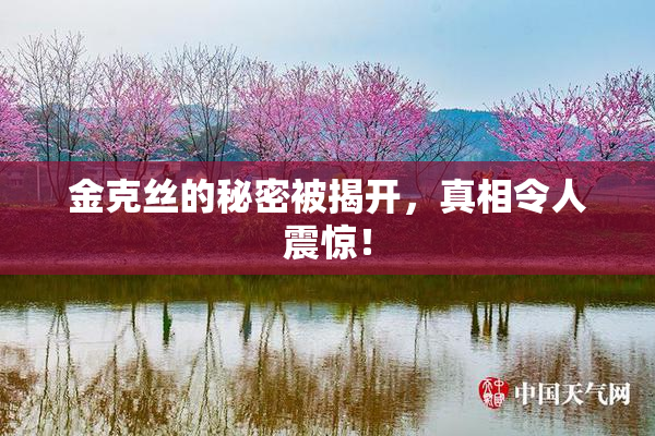 金克丝的秘密被揭开，真相令人震惊！