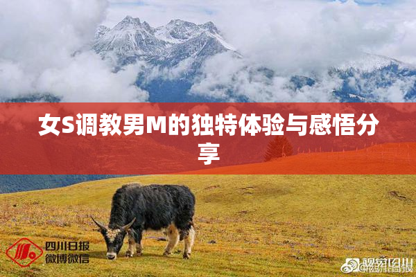 女S调教男M的独特体验与感悟分享