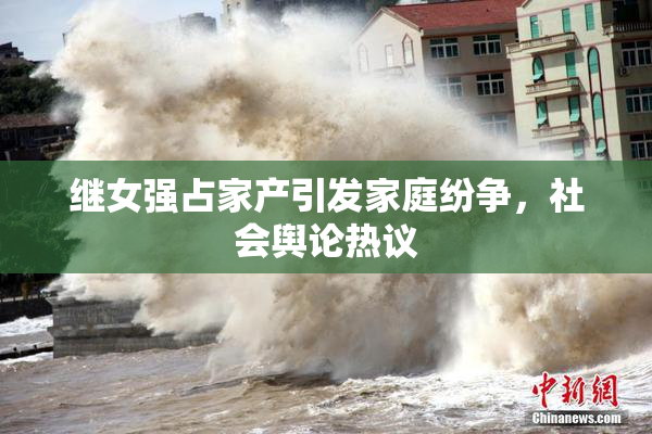 继女强占家产引发家庭纷争，社会舆论热议