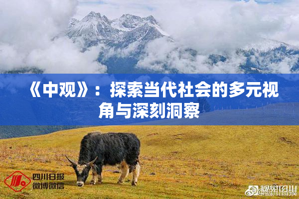《中观》：探索当代社会的多元视角与深刻洞察
