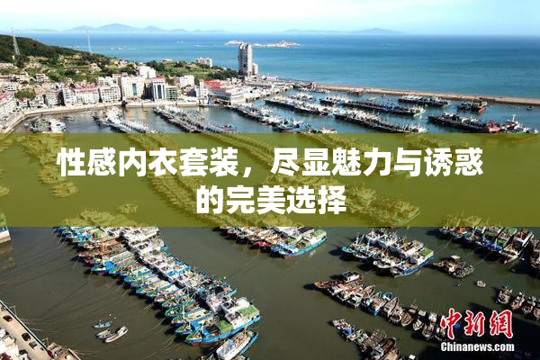 性感内衣套装，尽显魅力与诱惑的完美选择