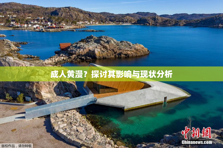 成人黄漫？探讨其影响与现状分析