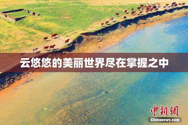 云悠悠的美丽世界尽在掌握之中