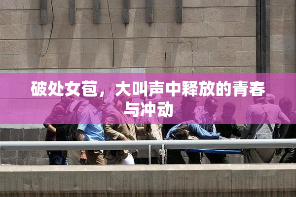 破处女苞，大叫声中释放的青春与冲动