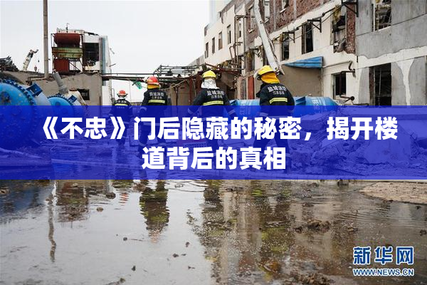 《不忠》门后隐藏的秘密，揭开楼道背后的真相
