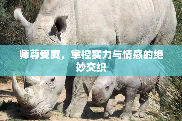师尊受爽，掌控实力与情感的绝妙交织