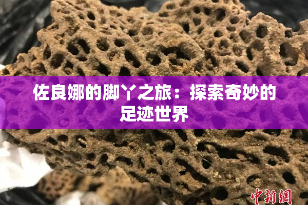 佐良娜的脚丫之旅：探索奇妙的足迹世界