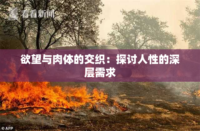 欲望与肉体的交织：探讨人性的深层需求