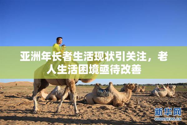 亚洲年长者生活现状引关注，老人生活困境亟待改善