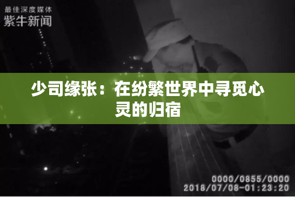 少司缘张：在纷繁世界中寻觅心灵的归宿