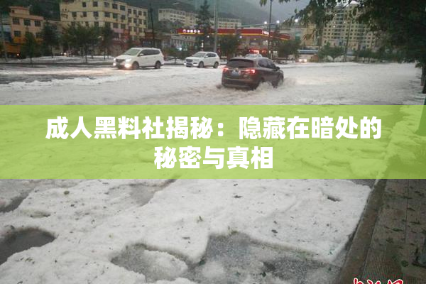 成人黑料社揭秘：隐藏在暗处的秘密与真相