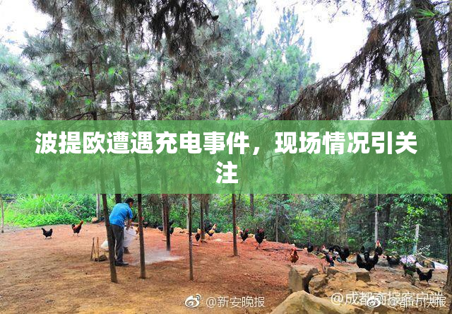 波提欧遭遇充电事件，现场情况引关注