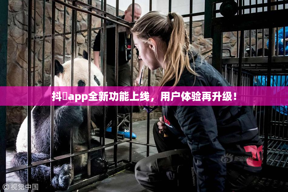 抖抈app全新功能上线，用户体验再升级！