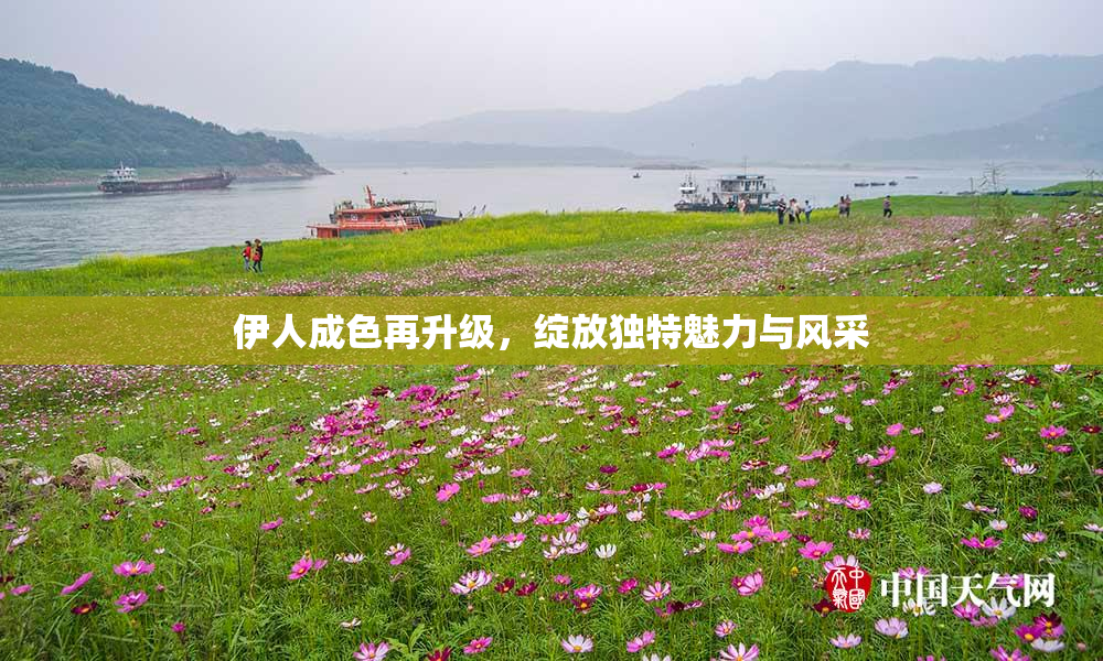 伊人成色再升级，绽放独特魅力与风采