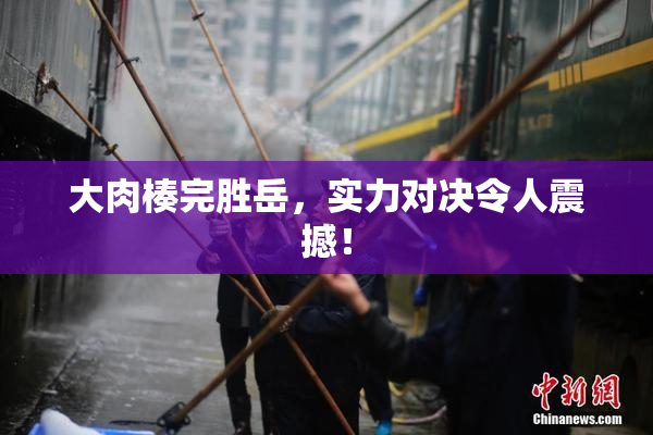 大肉楱完胜岳，实力对决令人震撼！