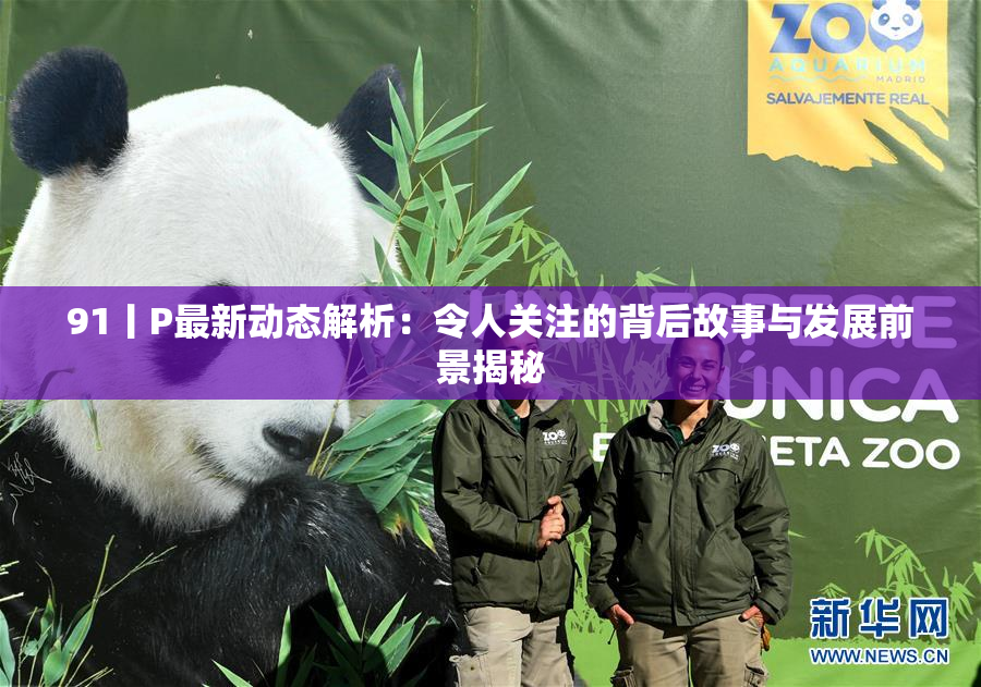 91丨P最新动态解析：令人关注的背后故事与发展前景揭秘