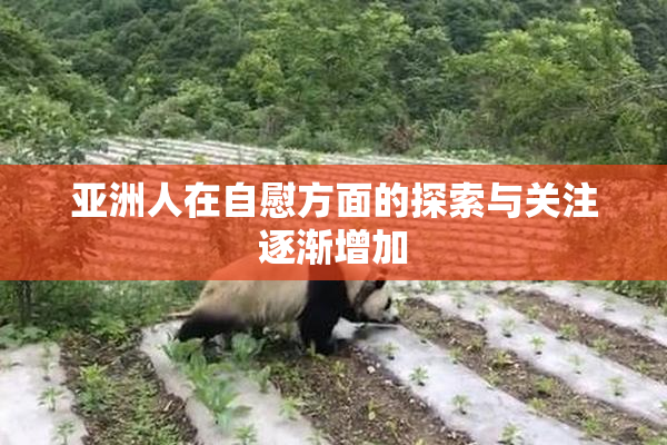 亚洲人在自慰方面的探索与关注逐渐增加