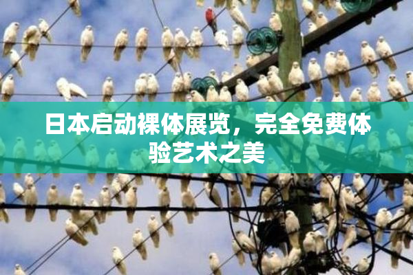 日本启动裸体展览，完全免费体验艺术之美