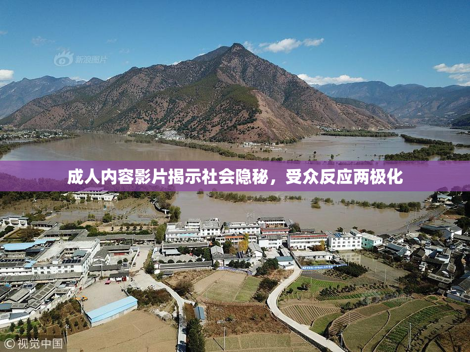 成人内容影片揭示社会隐秘，受众反应两极化