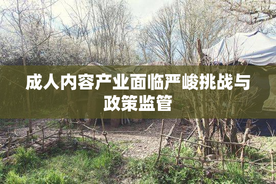 成人内容产业面临严峻挑战与政策监管