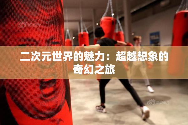 二次元世界的魅力：超越想象的奇幻之旅