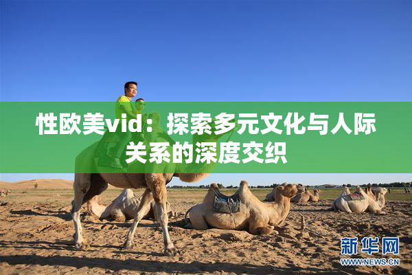 性欧美vid：探索多元文化与人际关系的深度交织