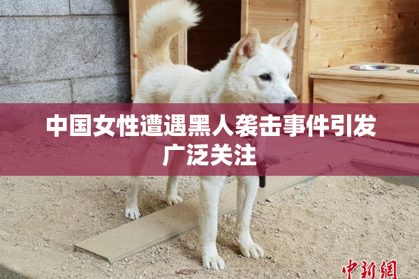 中国女性遭遇黑人袭击事件引发广泛关注