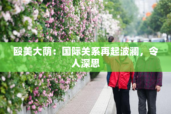 殴美大荫：国际关系再起波澜，令人深思