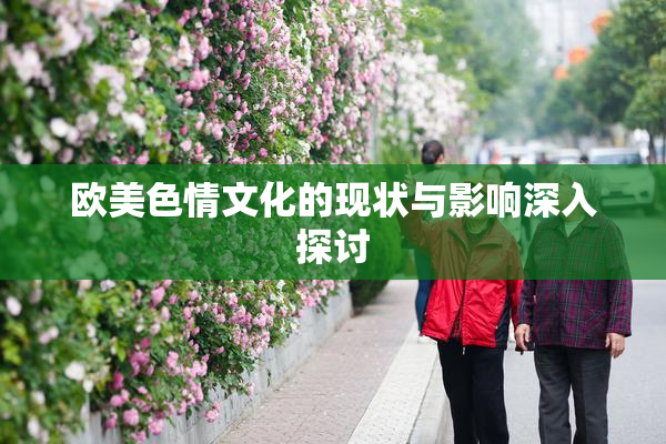 欧美色情文化的现状与影响深入探讨