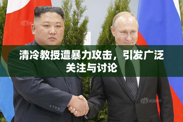 清冷教授遭暴力攻击，引发广泛关注与讨论