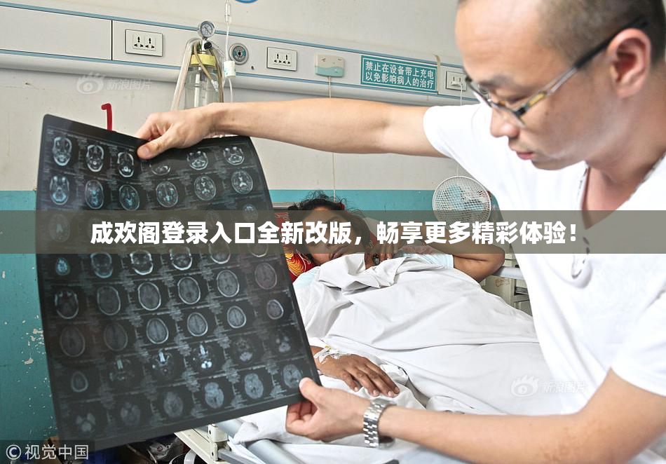 成欢阁登录入口全新改版，畅享更多精彩体验！