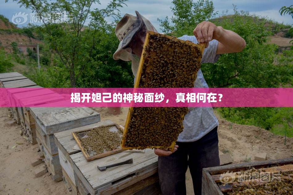揭开妲己的神秘面纱，真相何在？