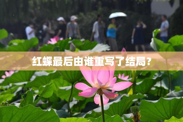 红蝶最后由谁重写了结局？