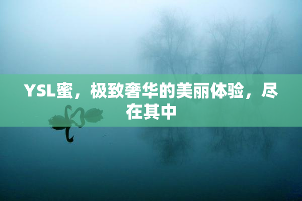 YSL蜜，极致奢华的美丽体验，尽在其中