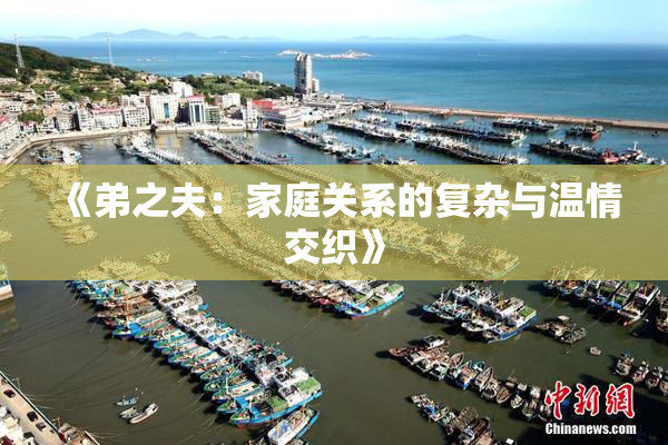 《弟之夫：家庭关系的复杂与温情交织》