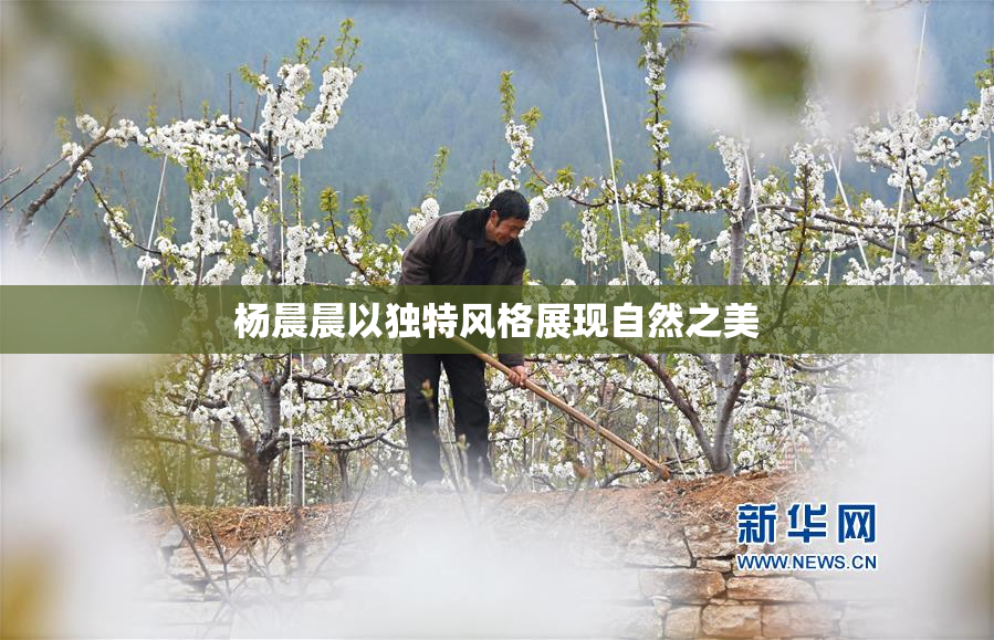 杨晨晨以独特风格展现自然之美