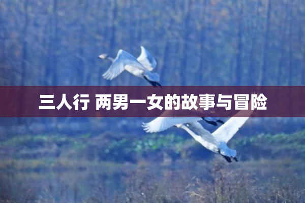 三人行 两男一女的故事与冒险