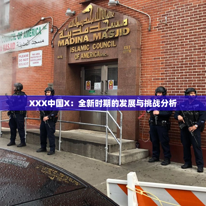 XXX中国X：全新时期的发展与挑战分析
