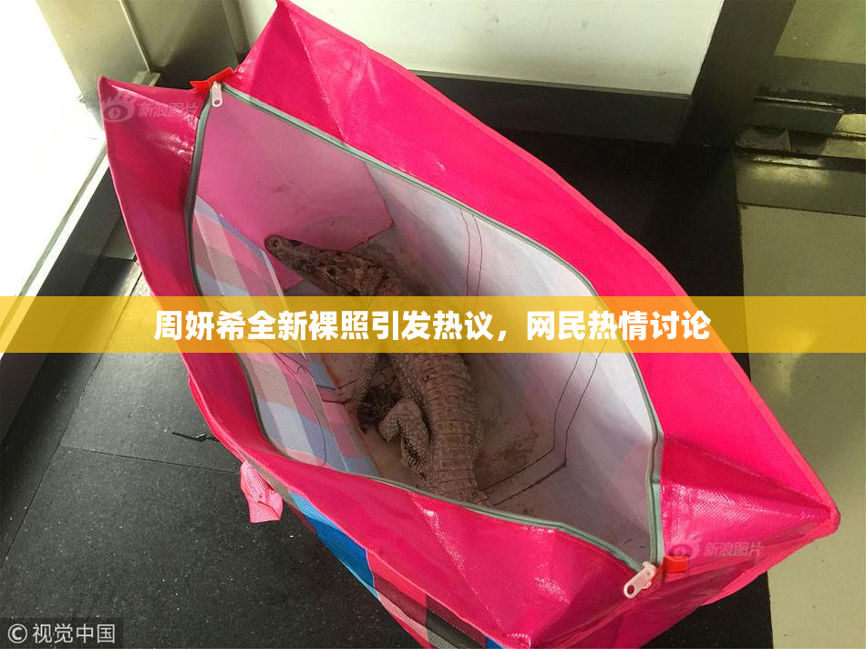 周妍希全新裸照引发热议，网民热情讨论