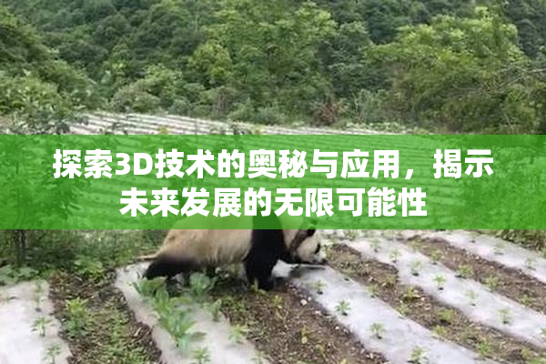 探索3D技术的奥秘与应用，揭示未来发展的无限可能性