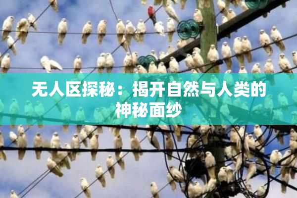 无人区探秘：揭开自然与人类的神秘面纱