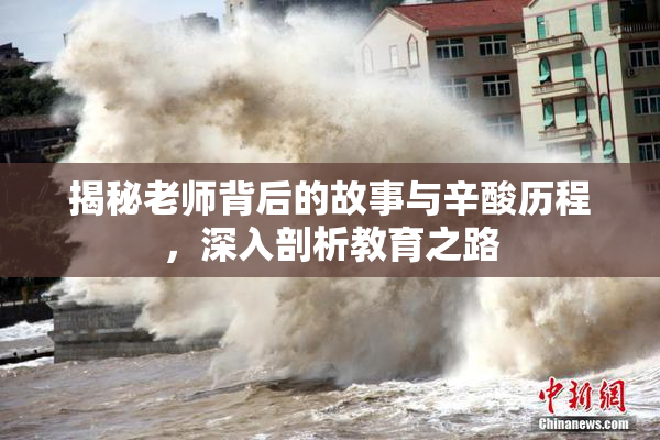 揭秘老师背后的故事与辛酸历程，深入剖析教育之路