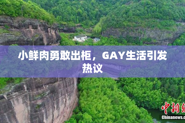小鲜肉勇敢出柜，GAY生活引发热议
