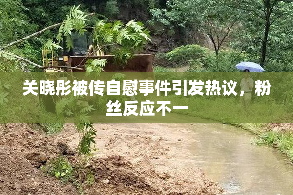 关晓彤被传自慰事件引发热议，粉丝反应不一
