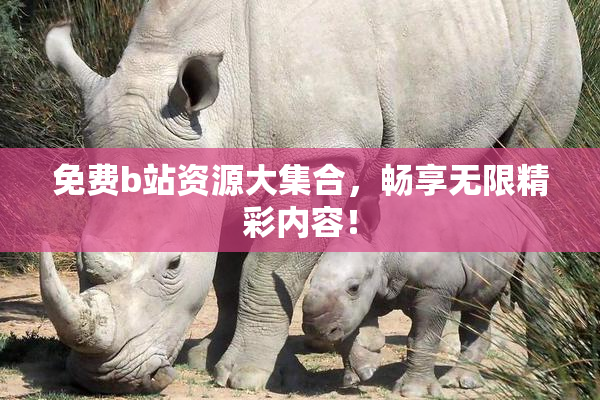 免费b站资源大集合，畅享无限精彩内容！