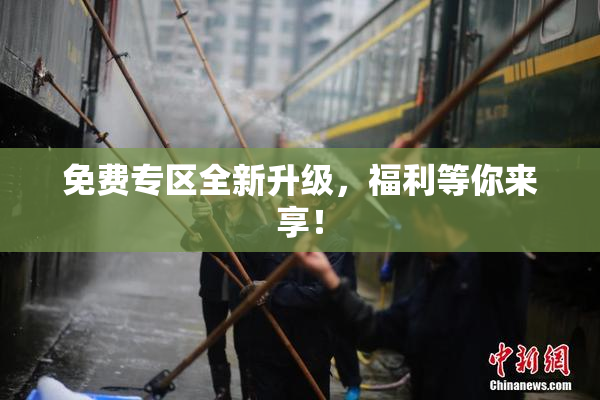 免费专区全新升级，福利等你来享！