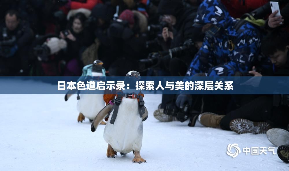 日本色道启示录：探索人与美的深层关系