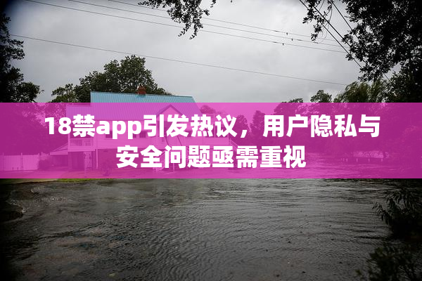 18禁app引发热议，用户隐私与安全问题亟需重视