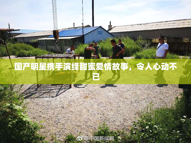 国产明星携手演绎甜蜜爱情故事，令人心动不已